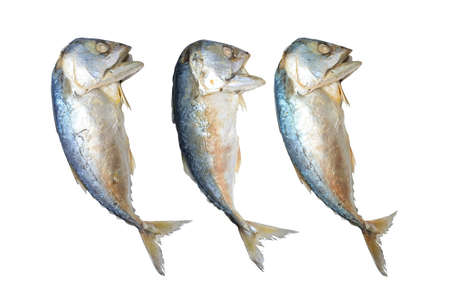 Couple of Thai mackerel isolated on white background. Thai traditional food.の写真素材