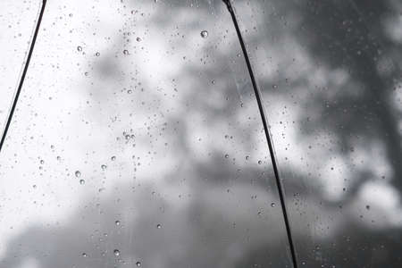 Abstract background. Water drop on the clear umbrella. Green and white bokeh background
