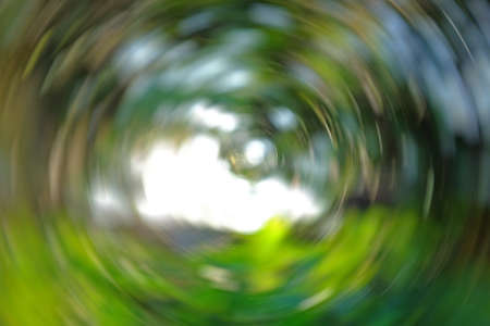 Abtract spinning spider web in the nature at sunset with green bokeh.の写真素材