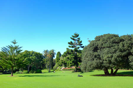 Leisure time in the park. some people napping under the trees.の写真素材