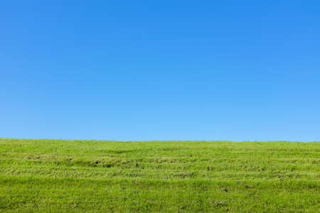 Beautiful scene with green grass and blue sky. background.の写真素材