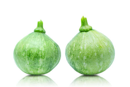 Two green fresh baby pumpkin isolated on white background with clipping path.の写真素材