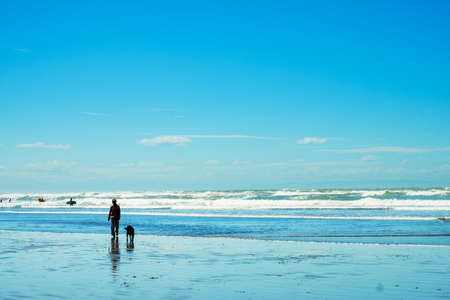 A woman enjoying with her dog activities at the beautiful beach on a sunny blue sky day.の写真素材