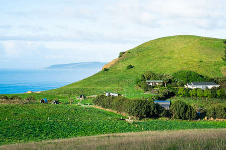 Stunning scene Cloudy and blue sky with farmland on the   green grassland beside the ocean. New Zealand agriculture in the rural area.の写真素材