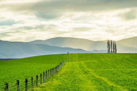 Stunning scene Cloudy and blue sky with green grassland. New Zealand agriculture in the rural area.の写真素材