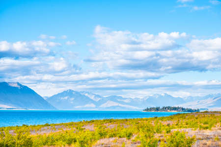 Beautiful scene of blue lake and yellow grassland with mount cook beside lake Tekapo before sunset.