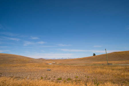 Beautiful scene of yellow crop field in summer with blue sky. New Zealandの写真素材