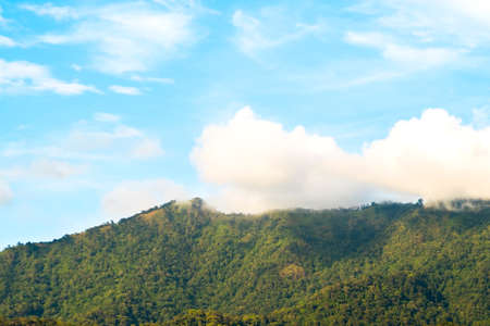 View from below, Looking to beautiful green mountain covered with white mist on the top and yellow light with blue sky and some clouds, After the rain at sunset. North of Thailand.の写真素材