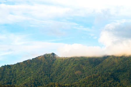 View from below, Looking to beautiful green mountain covered with white mist on the top and yellow light with blue sky and some clouds, After the rain at sunset. North of Thailand.の写真素材