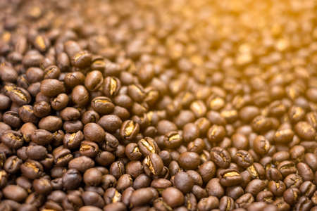 Depth of field shot, soft focus, Medium dark Roasted peaberry coffee beans background with yellow light effect. の写真素材