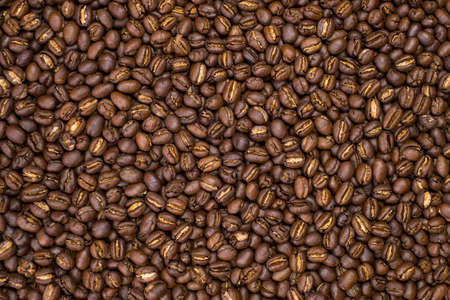 Medium dark Roasted peaberry coffee beans background. の写真素材