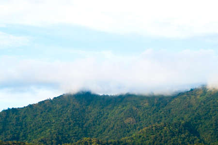 View from below, Looking to beautiful green mountain covered with white mist on the top and yellow light with blue sky and some clouds, After the rain at sunset. North of Thailand.の写真素材