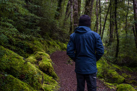 A backpacker man with trekking gears walking on the path in the green fresh rainforest.の写真素材