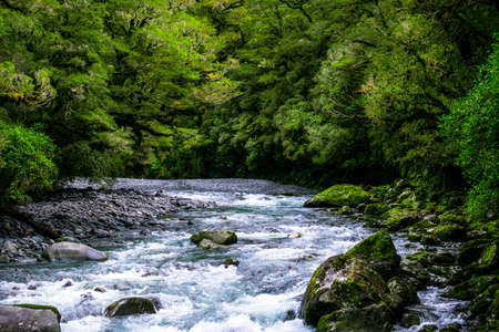 A blue glacier river among the green nature.の写真素材
