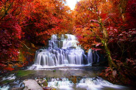 Long Exposure photography. Beautiful waterfall in the rainforest with green nature. Purakaunui Falls, The Catlins, New Zealand. Photoshop changed leaves to red color.の写真素材