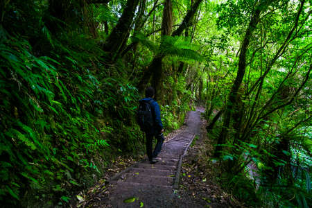 A backpacker man with trekking gears walking on the path in the green fresh rainforest.の写真素材