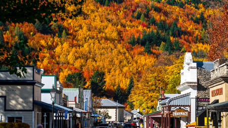 2018 April, 5 - Otago, New Zealand, Arrowtown in autumn with colorful trees.のeditorial素材