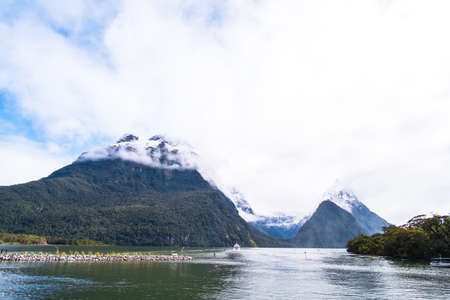 A stunning scene of nature with snow mountain and waterfalls at Milford Sound, New Zealand.のeditorial素材