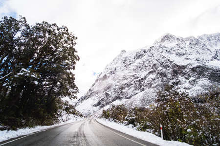 The stunning scenery of a rocky mountain and trees covered with a white snow. A road to Milford Sound. A filmed while driving.の写真素材