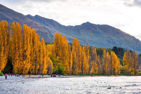 Lake Wanaka at sunset in Autumn season.