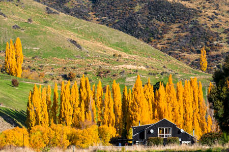 2018, April 25 - Cardrona, New Zealand, Building in Cadrona in Autumn.