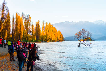 Lake Wanaka at sunset in Autumn season.のeditorial素材