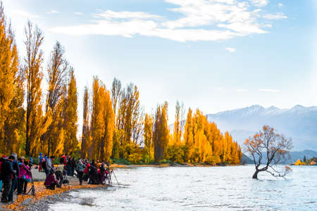 Lake Wanaka at sunset in Autumn season.の写真素材