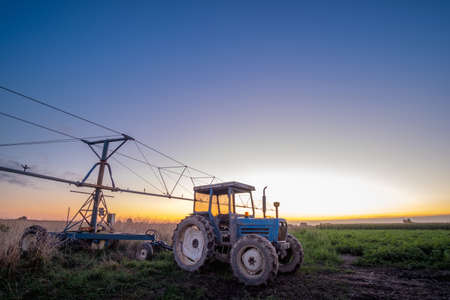 Sunset scene of the Tractor spraying with blue sky.の写真素材