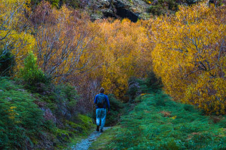 People walk in the stunning landscape scenery. The diamond lake track, Wanaka, New Zealand.の写真素材