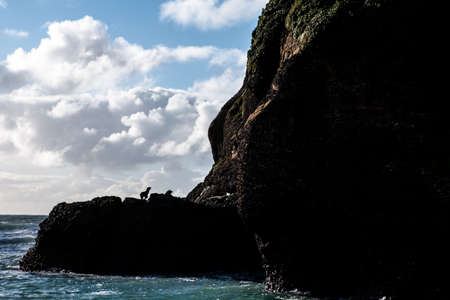 Wharariki Beach with mountain rocks and clouds. a sihouette of seals.の写真素材