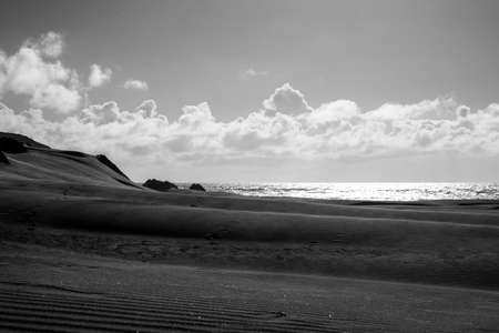 Wharariki Beach with and wave and cloudy. Black and white photo style.の写真素材