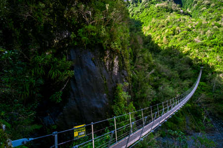 The wooden swing bridge in the green nature.の写真素材