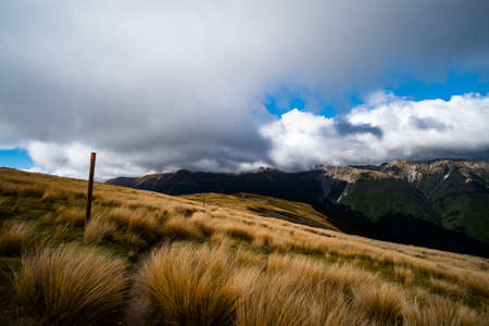 Grass mountain, Mount Robert, Nelsonlake National Park, Track, Trecking in a cloudy day.の写真素材