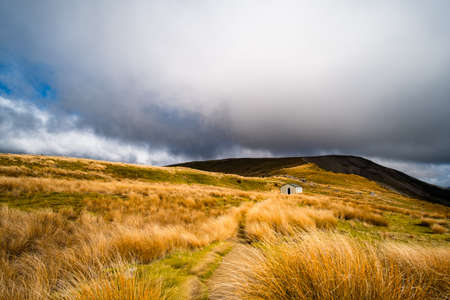 Grass mountain, Mount Robert, Nelsonlake National Park, Track, Trecking in a cloudy day.