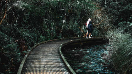 Boardwalk in the green nature.の写真素材