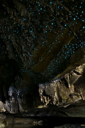 Amazing New Zealand Tourist attraction glowworm luminous worms in caves. High ISO Photo..の写真素材