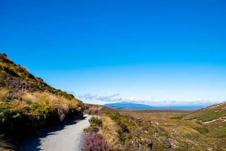 Beautiful Landscape view of Tongariro Crossing track on a beautiful day with blue sky, North Island, New Zealand..の写真素材