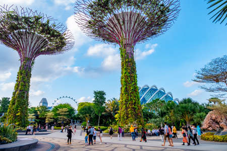 2019 March 1st, Singapore, Garden by the bay - View of the supertrees and people are doing their activities..のeditorial素材