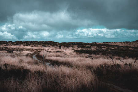 A hiking man walking on the pathway with yellow grass on a high mountain. Cloudy and shower rain scene.の写真素材