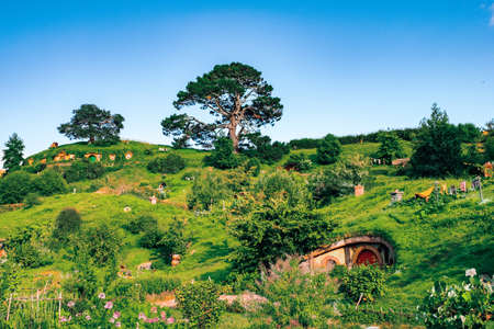 2019, February 18th, New Zealand, Matamata, Hobbiton movie set - Beautiful scenery of the garden and hobbit house (hole) in Shire.のeditorial素材