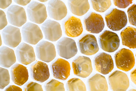 Abstract background, new beehive white color. Macro Photography.