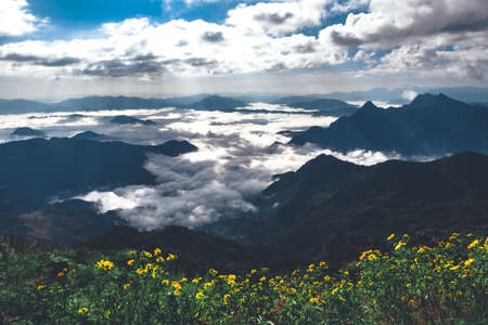 Beautiful Landscape of Phu Chi Fa, Chiang Rai, Thailand. Morning light with sea clouds and fog. Dramatical photo style.の写真素材