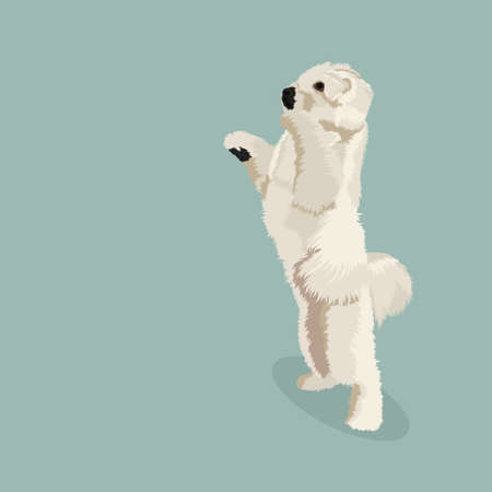 White dog isolated on the background. Vector illustration.のイラスト素材