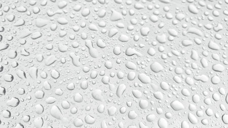 Raindrops on the 200 micron PE plastic roof of the farm.の写真素材