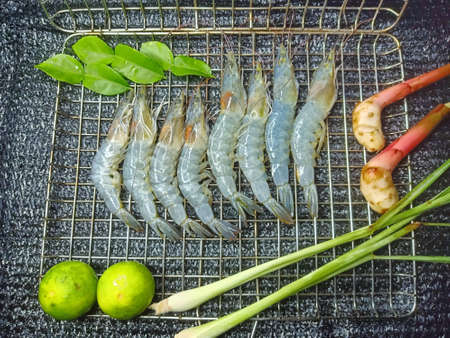 Fresh shrimp arranged on a stainless steel grill. With kaffir lime leaves, lemongrass, lime, galangal.の写真素材