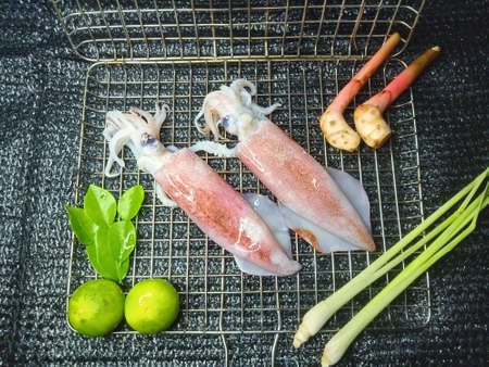 Fresh ink is placed on a stainless steel sieve. With kaffir lime leaves, lemongrass, lime, galangal.の写真素材