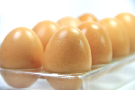 Close-up view of 8 chicken eggs perched on a tray against a white background.の写真素材