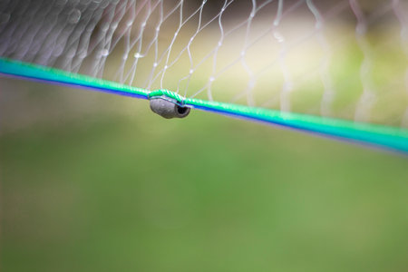 Lead Weight on Fishing Net â Close-up with Soft Bokehの写真素材