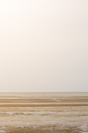 Coastal Mudflat Landscape at Low Tide with Small People Walking