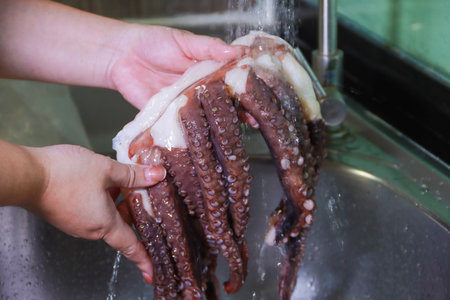 Hand Holding Raw Octopus Under Running Waterの写真素材